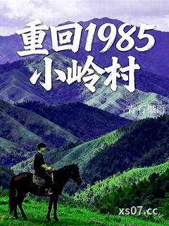 重回1985小岭村小说封面-青石槭雨-都市