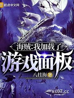 海贼：我加载了游戏面板