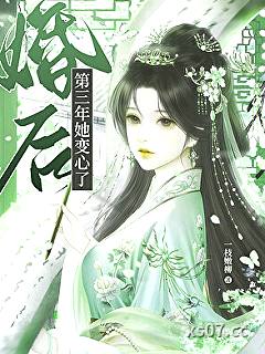 婚后第三年她变心了小说封面-一枝嫩柳-历史