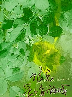狼兔爱情游戏小说封面-潦草不动心-ＢＬ同人