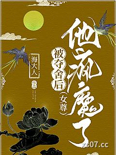 被夺舍后，他疯魔了（女尊）小说封面-海大人-ＢＬ同人