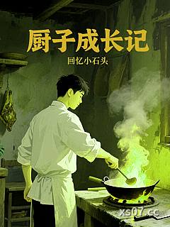 厨子成长记小说封面-回忆小石头-都市