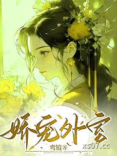 娇宠外室小说封面-鸾镜-言情