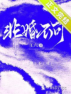 非婚不可小说封面-王六-言情