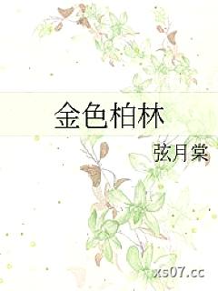 金色柏林 作者:弦月棠 分类:小说
