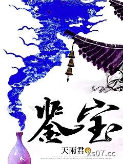 鉴宝小说封面-天雨君-都市
