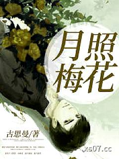 月照梅花小说封面-古思曼-言情