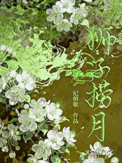 狮子捞月