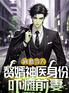 离婚当天，赘婿神医身份吓瘫前妻 作者：汤圆不甜