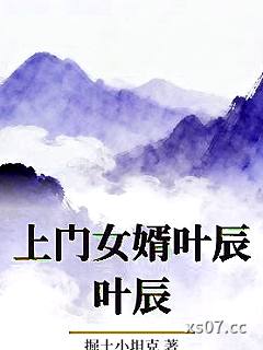 上门女婿叶辰叶辰