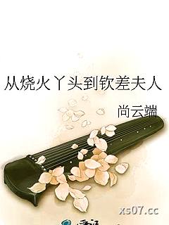 从烧火丫头到钦差夫人