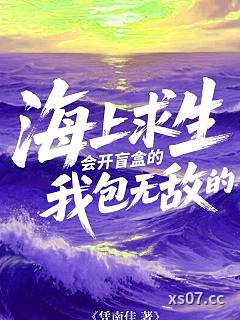 海上求生：会开盲盒的我包无敌的小说封面-凭南佳-言情