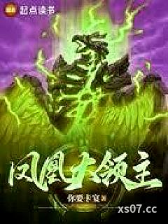 凤凰大领主小说封面-你要卡宴-都市