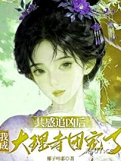 共感追凶后，我成大理寺团宠了小说封面-椰子叶耶-古代架空