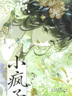 小疯子（1v1 强制爱）