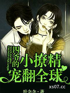 四爷的小撩精宠翻全球小说封面-叶念念-言情