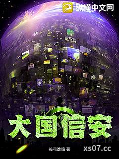 大国信安