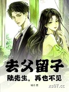 去父留子，陆先生，再也不见！小说封面-榆木-都市