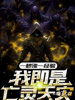 一秒涨一经验，我即是亡灵天灾小说封面-七月八月打酱油-都市