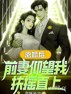 离婚后：前妻仰望我扶摇直上