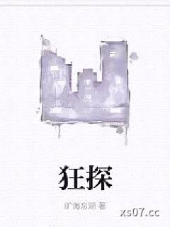 狂探 作者：旷海忘湖 分类：小说