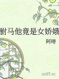 驸马他竟是女娇娥小说封面-阿嗙-都市