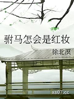 驸马怎会是红妆