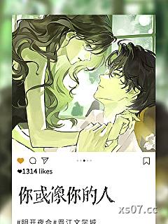 你或像你的人 作者：明开夜合 分类：小说