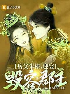 岳父朱棣，迎娶毁容郡主我乐麻了小说封面-过节长肉肉-都市