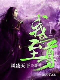 我是至尊小说封面-风凌天下-武侠