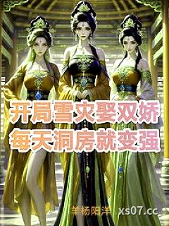 开局雪灾娶双娇，每天洞房就变强小说封面-羊杨阳洋-军事