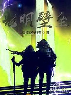 光明壁垒