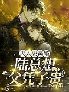 夫人要离婚，陆总想父凭子贵小说封面-咸鱼梦-言情