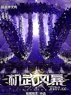 机武风暴