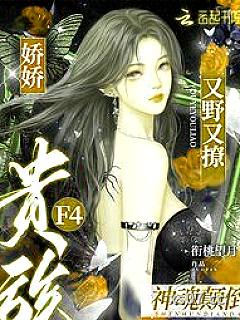 娇娇又野又撩，贵族F4神魂颠倒小说封面-衔桃望月 著-都市