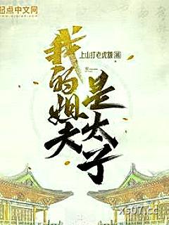 我的姐夫是太子