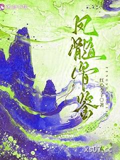 凤髓骨鉴小说封面-红心李子 著-言情