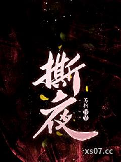 撕夜小说封面-苏格-言情
