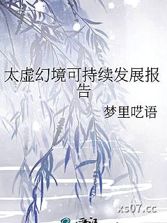太虚幻境可持续发展报告小说封面-梦里呓语-都市