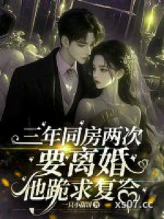 三年同房两次，要离婚他跪求复合小说封面-一只小甜饼-都市