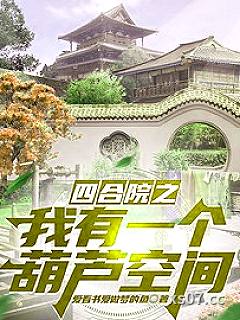 四合院之我有一个葫芦空间 作者：爱看书爱做梦的鱼