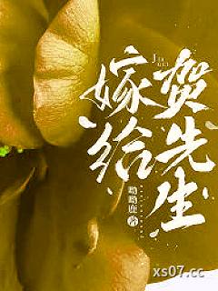 嫁给贺先生
