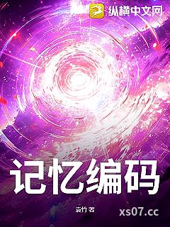 记忆编码