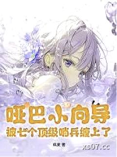 哑巴小向导，被七个顶级哨兵缠上了小说封面-疯麦-言情