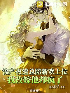 流产夜渣总陪新欢上位，我改嫁他却疯了