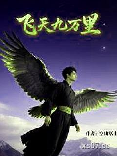 飞天九万里小说封面-空山居士-仙侠