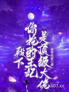 殿下，你抢的王妃是顶级大佬
