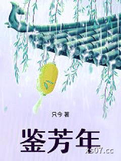 鉴芳年小说封面-只今-言情