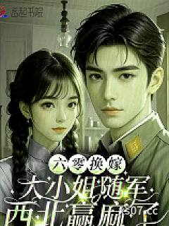 六零换嫁，大小姐随军西北赢麻了小说封面-袅袅水之蓝-言情