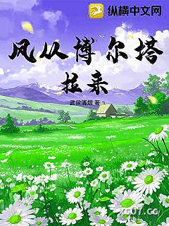 风从博尔塔拉来小说封面-武侯清烟-言情